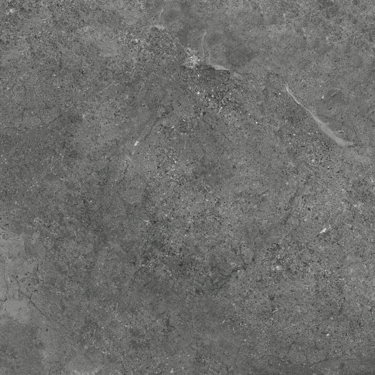 face 3